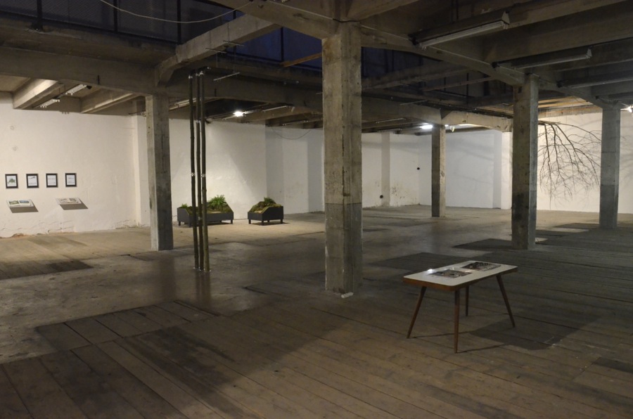 Homescape, 2012, exhibition view 