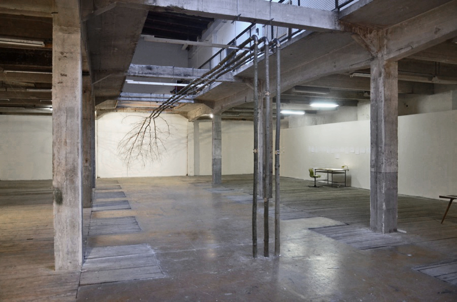 In-Tree-Net, 2012, view from the site specific installation 1, 60 yards of tree trunks and branches, pluming hardware   